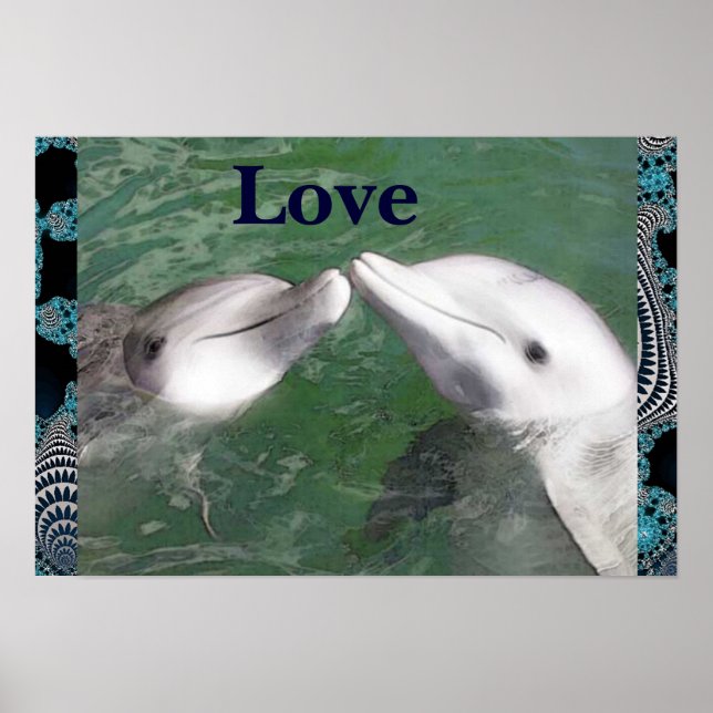 Poster do Dolphin Love (Frente)