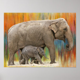 Poster do elefante da mãe e do bebê