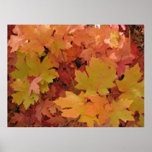 Poster do esplendor do outono (1)