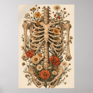 Pôster do Esqueleto da Anatomia Floral, Botânica V