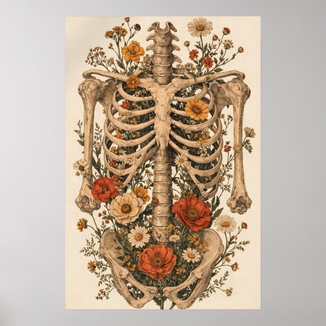 Pôster do Esqueleto da Anatomia Floral, Botânica V (Frente)