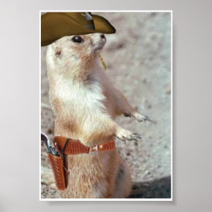 Poster do esquilo do lançador da arma