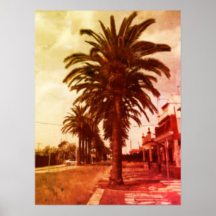 Poster do estilo do vintage da palmeira