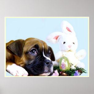 Poster do filhote de cachorro do pugilista da
