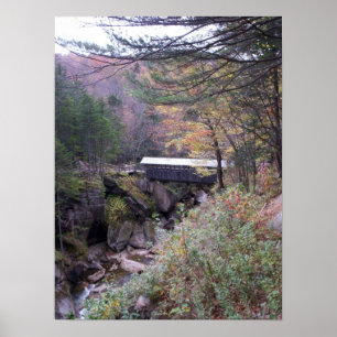 Poster do folhagem de outono da ponte da sentinela