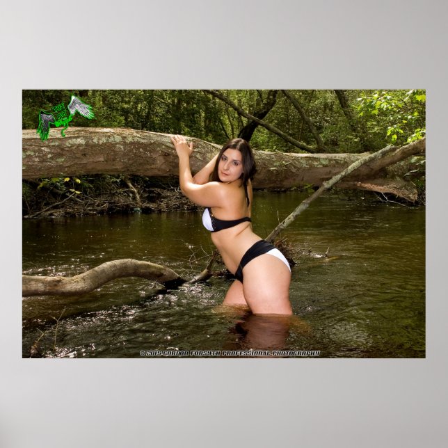 Poster do Fundraiser de abrigos de animais da Amir (Frente)