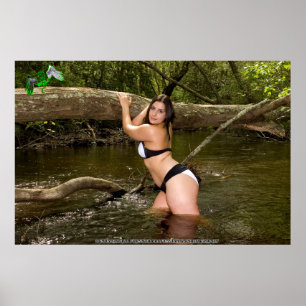 Poster do Fundraiser do abrigo animal do anjo de