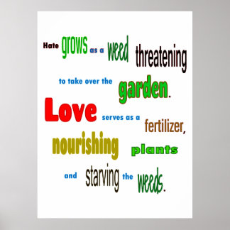 Poster do Garden Love