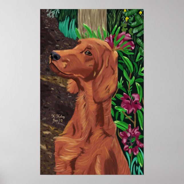 Poster do Garden Setter (Frente)