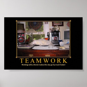 Poster do gatinho da mesa dos trabalhos em equipe
