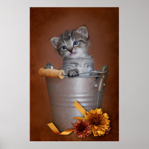 Poster do gatinho do outono