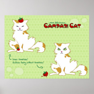 Poster do gato de Campari