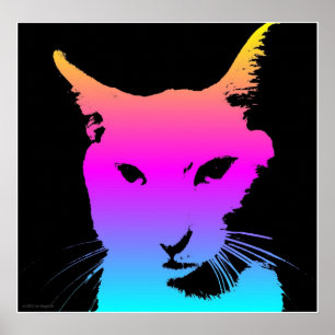 Poster do gato do pop