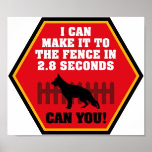 Poster do german shepherd
