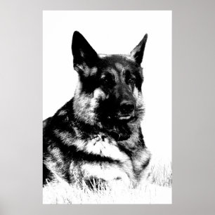 Poster do german shepherd