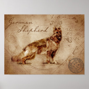 Poster do german shepherd Vintage