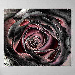 Poster do impressão das canvas do rosa do preto