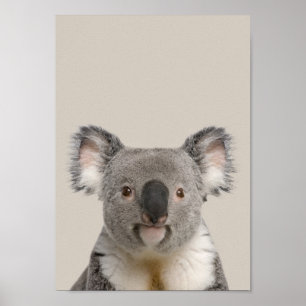Poster do infantário de animais bebês - Koala