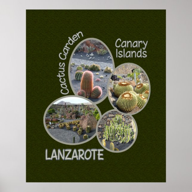 Poster do Jardim Cactus (Frente)