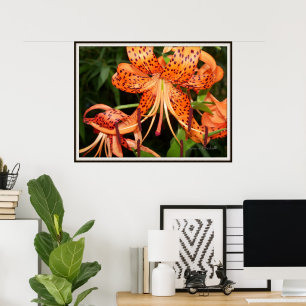 Poster do Jardim Flor do Tiger Lily