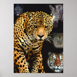 poster do jungle_fever