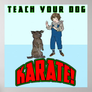 Poster do karaté 2 do cão