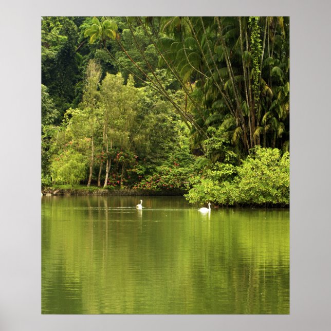 Poster do Lago Verde (Frente)