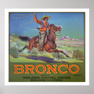 Pôster Do "laranjas bronco", c.1900 (litho da cor)