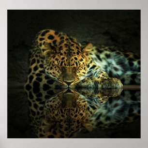 Poster do leopardo