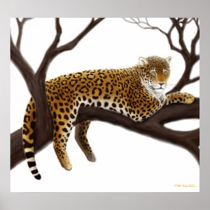 Poster do Leopardo Africano