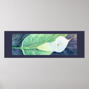Poster do lírio de Calla