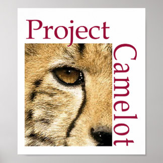 Poster do Logotipo Camelot do Project