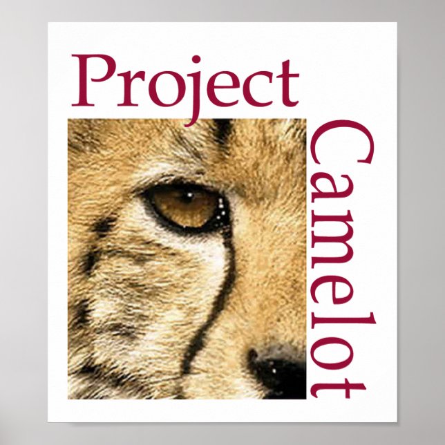 Poster do Logotipo Camelot do Project (Frente)