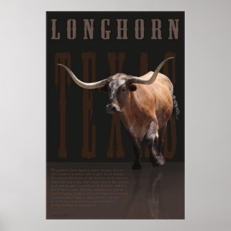 Poster do Longhorn Legacy - 40x60 - outros tamanho