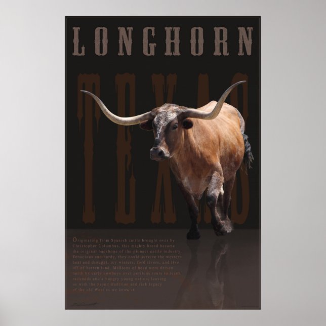 Poster do Longhorn Legacy - 40x60 - outros tamanho (Frente)