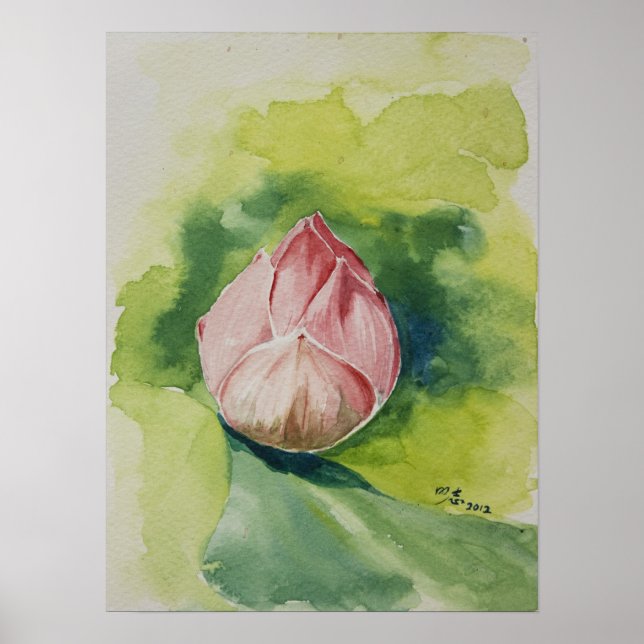 Poster do Lotus Watercolor (Frente)