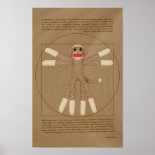Poster do macaco de Vitruvian