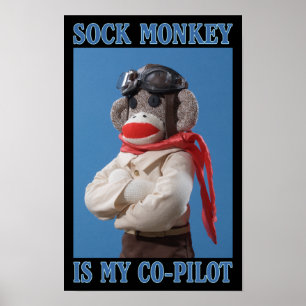 Poster do macaco do copiloto
