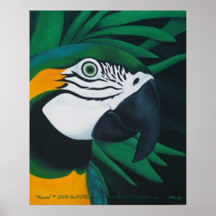 Poster do Macaw