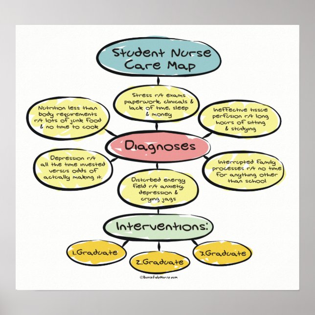 Poster do Mapa do Enfermeiro Estudantil (Frente)