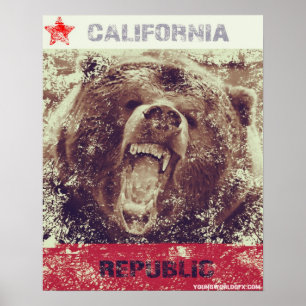 Poster do orgulho de Cali