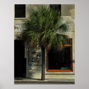 Poster do padrão do Palmetto de Charleston
