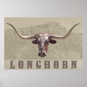 Poster do país Longhorn - 60x40 - outros tamanhos 