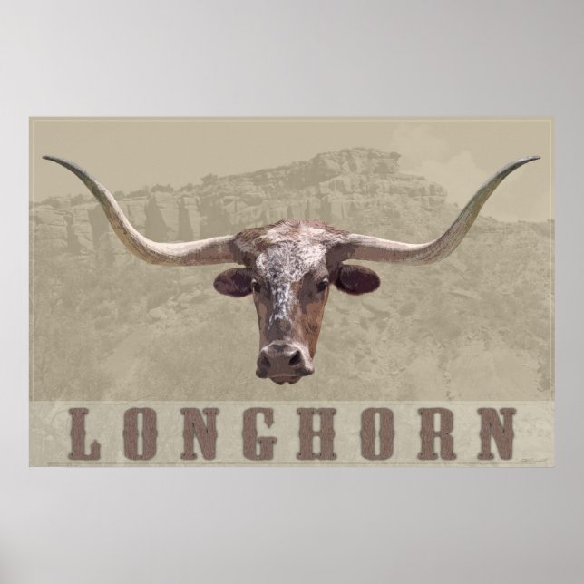 Poster do país Longhorn - 60x40 - outros tamanhos  (Frente)