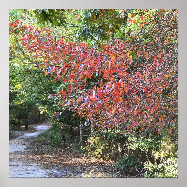 Poster do Parque Autumn (Frente)