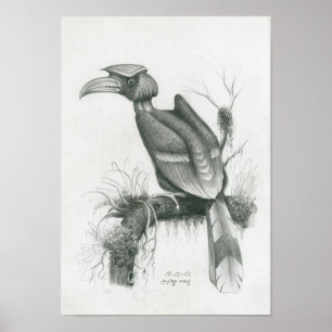 Poster do pássaro cambojano do Hornbill por Vanna