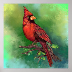 Pôster do Pássaro Cardinal Vermelho do Norte - Pin