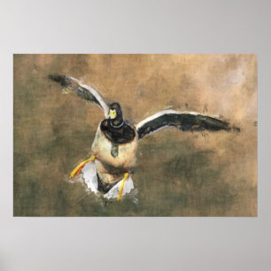 Poster do pato do vôo