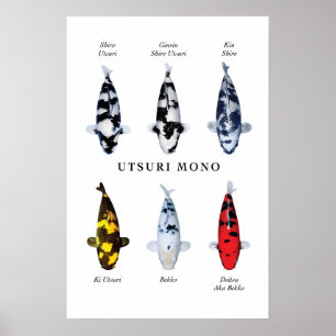 Poster do peixe koi japonês: Utsurimono