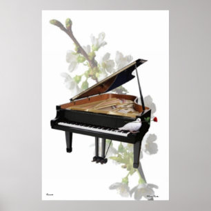 Poster do piano